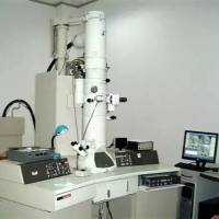 组织/细胞透射电镜技术服务