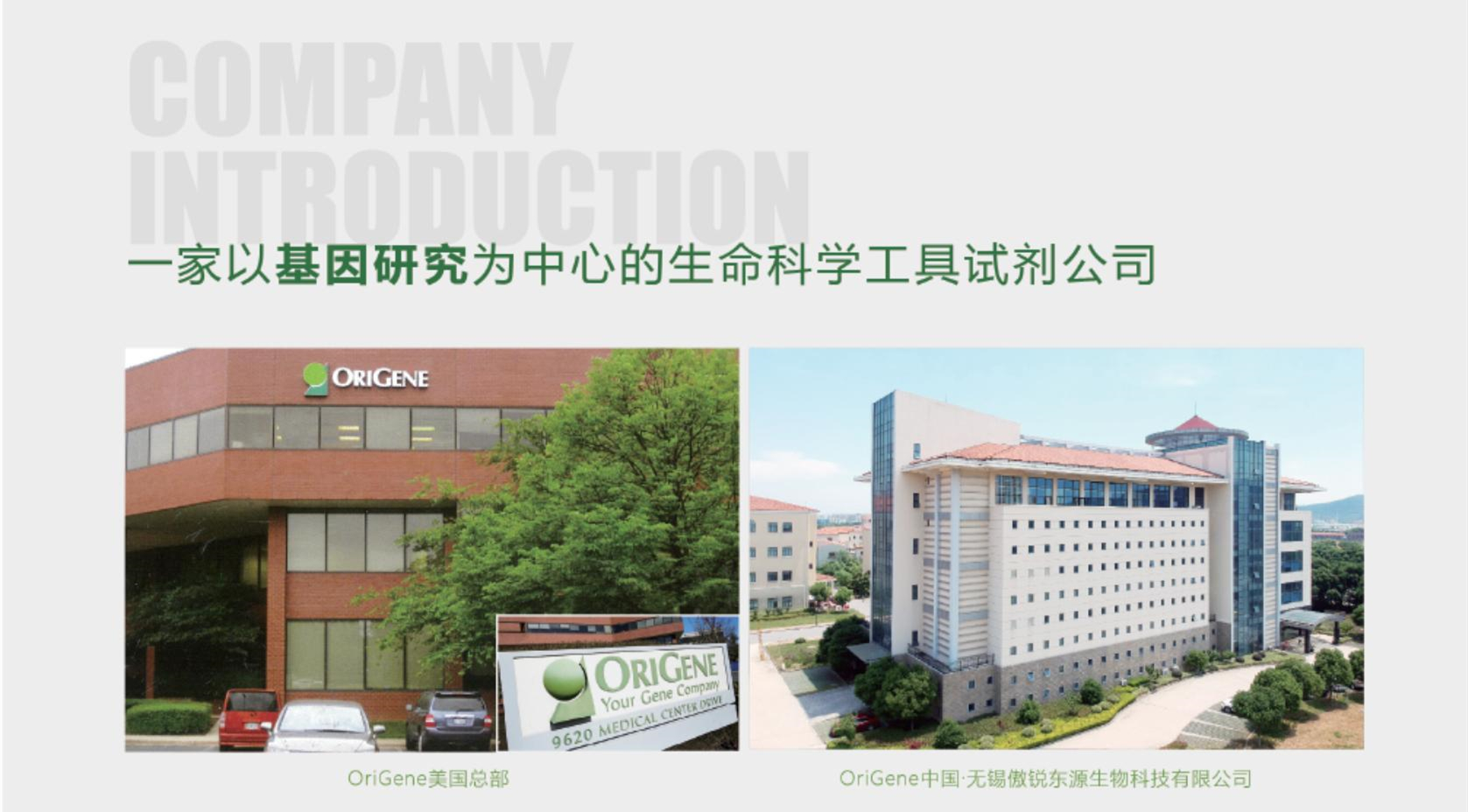 OriGene定制服务系列——抗体/蛋白/分子