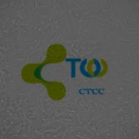 子宫平滑肌细胞