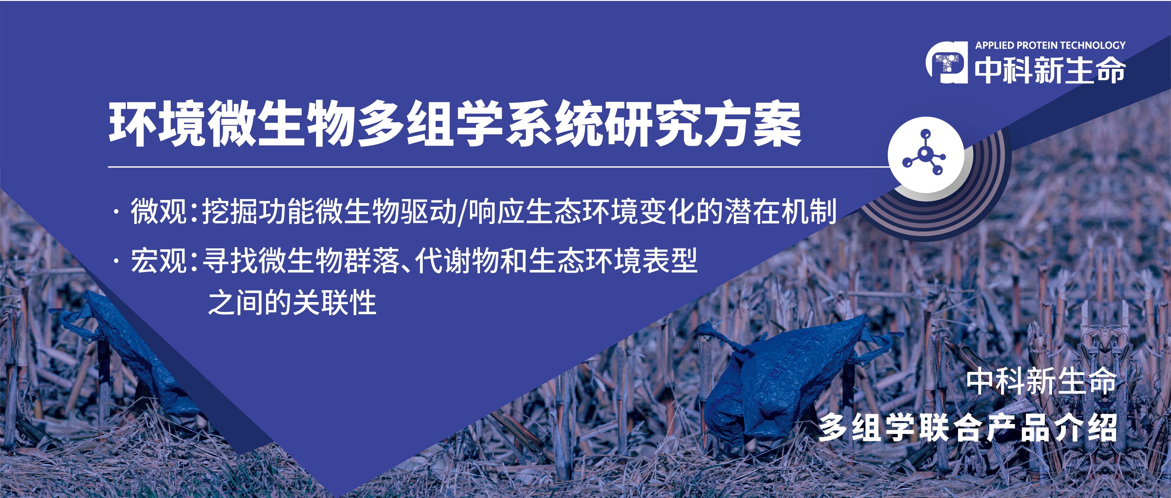 项目文章 | 16S+代谢助力客户土壤污染研究登陆环境科学顶刊