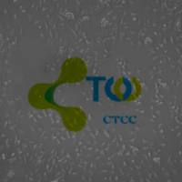 胚胎成纤维细胞