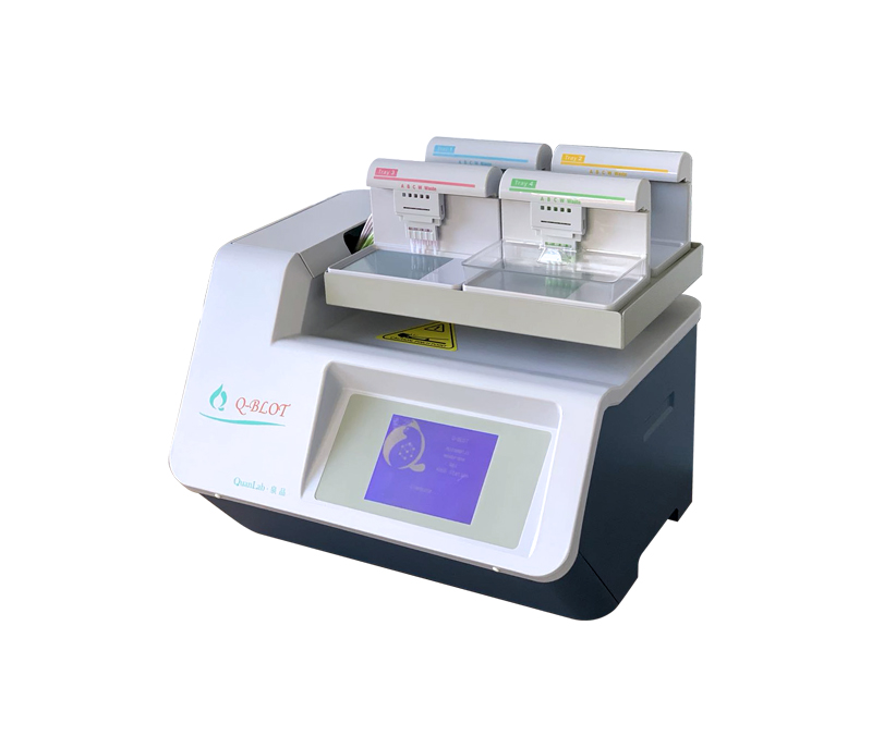 (Western Blot)Q-BLOT自动化蛋白免疫杂交系