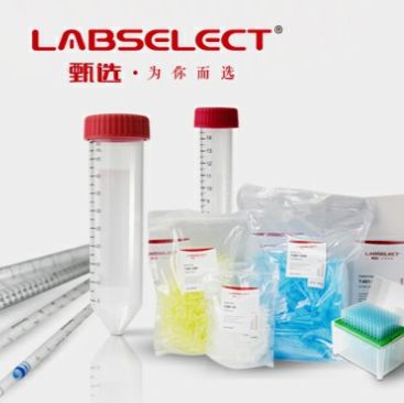 384孔黑框透明底细胞培养板