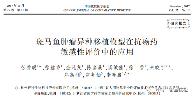 环特斑马鱼研究丨斑马鱼肿瘤异种移植模型在抗癌药敏感性评价中的应用