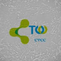 视网膜神经节细胞