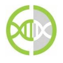 MC38细胞cas9稳转株