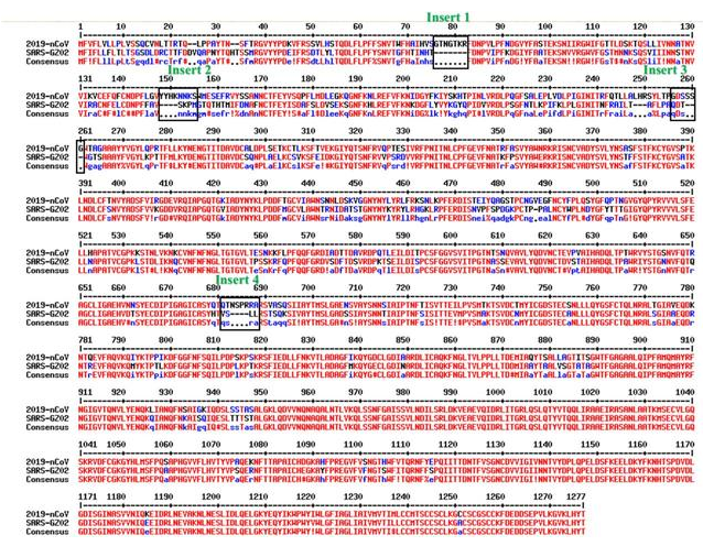 新冠病毒核酸检测原理
