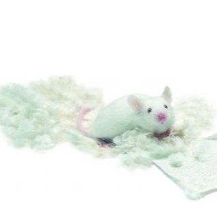 Ancare鼠用巢料片，小鼠做巢材料，小鼠笼内巢料片