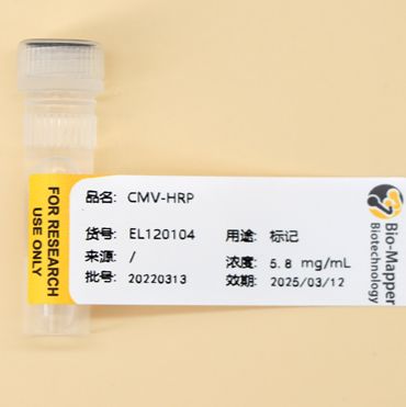 巨细胞病毒抗原/CMV抗原/Cytomegalovirus Ag