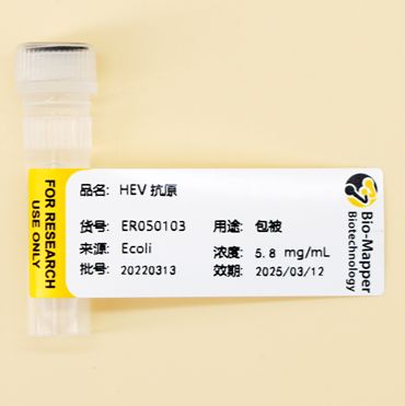 戊型肝炎病毒抗原/戊肝抗原/HEV Antigen