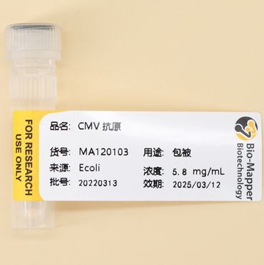 巨细胞病毒抗原/CMV抗原/Cytomegalovirus Ag