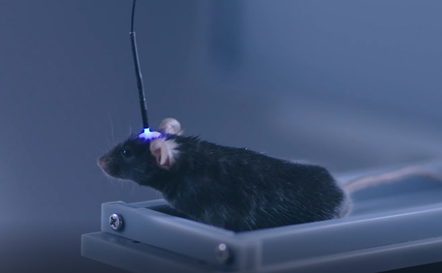 新品发布 | R821三色多通道光纤记录系统，让你效率提升的科研神器