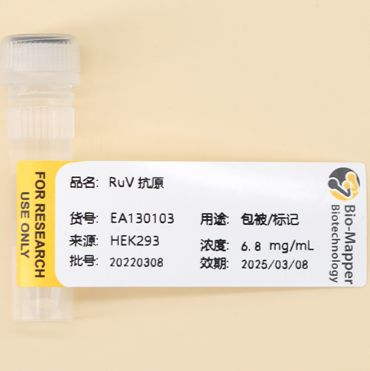 风疹病毒抗原/RuV抗原/RV