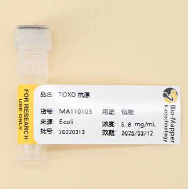 弓形虫抗原/TOXO抗原/Toxoplasma Antigen