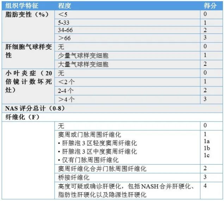 基因编辑NASH模型，解决传统NASH模型困局