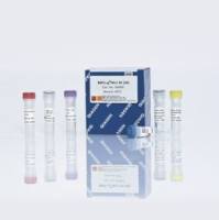 微量样本全基因组扩增试剂盒