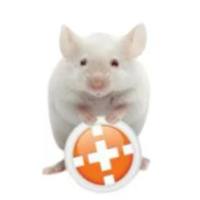  动物行为活动记录系统