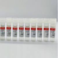 WonderBlue Broad Range 双链DNA定量试剂盒