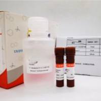 Qbtest X-Green II 双链 DNA 定量试剂盒