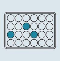 稳定细胞株构建