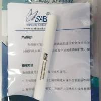 免疫组化笔