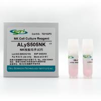 贝索细胞/CSTI | NK细胞培养试剂ALyS505NK