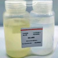 6-ROX glycine（6-ROX 甘氨酸），25μM