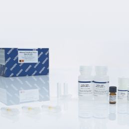  病毒RNA/DNA纯化试剂盒