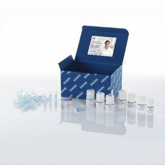 质粒小提试剂盒