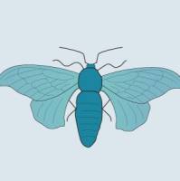 昆虫细胞表达系统