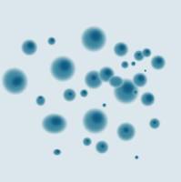 酵母蛋白表达与纯化