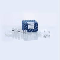 47014/47016 凯杰Qiagen强力土壤基因组DNA提取试剂盒