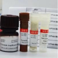 3×GelstainRed Prestain上样缓冲液升级款