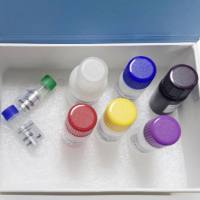 Easy-96质粒DNA小量试剂盒