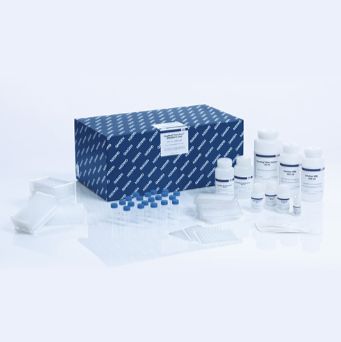 MagAttract PowerWater DNA/RNA Kit (384)