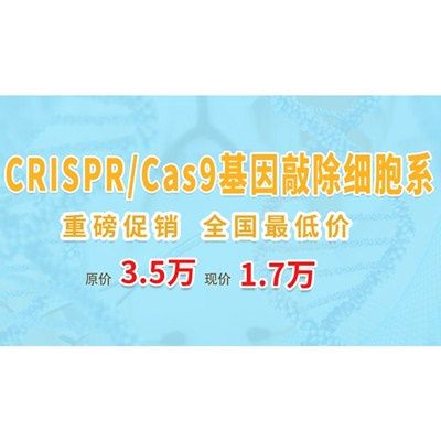CRISPR/Cas9 基因敲除细胞 原价3.5万，现价1.7万