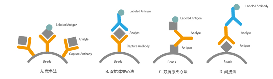 一文读懂 IVD 新晋顶流——化学发光免疫检测