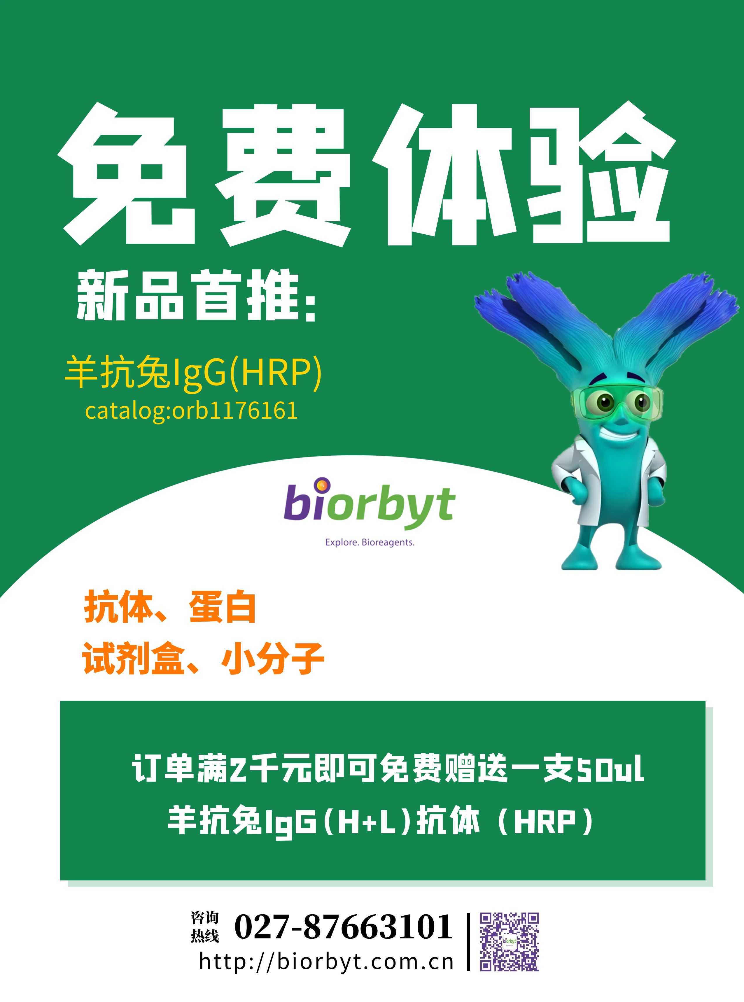 【Biorbyt 新品免费试用】羊抗兔IgG(H+L)抗体（HRP）