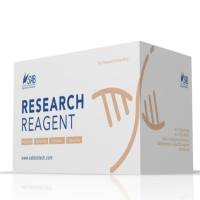 核蛋白和胞浆蛋白提取试剂盒