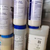 LK970P-90 科玛嘉鉴定李斯特菌显色平板