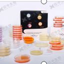 CP572P-70 科玛嘉弯曲菌显色培养基平板