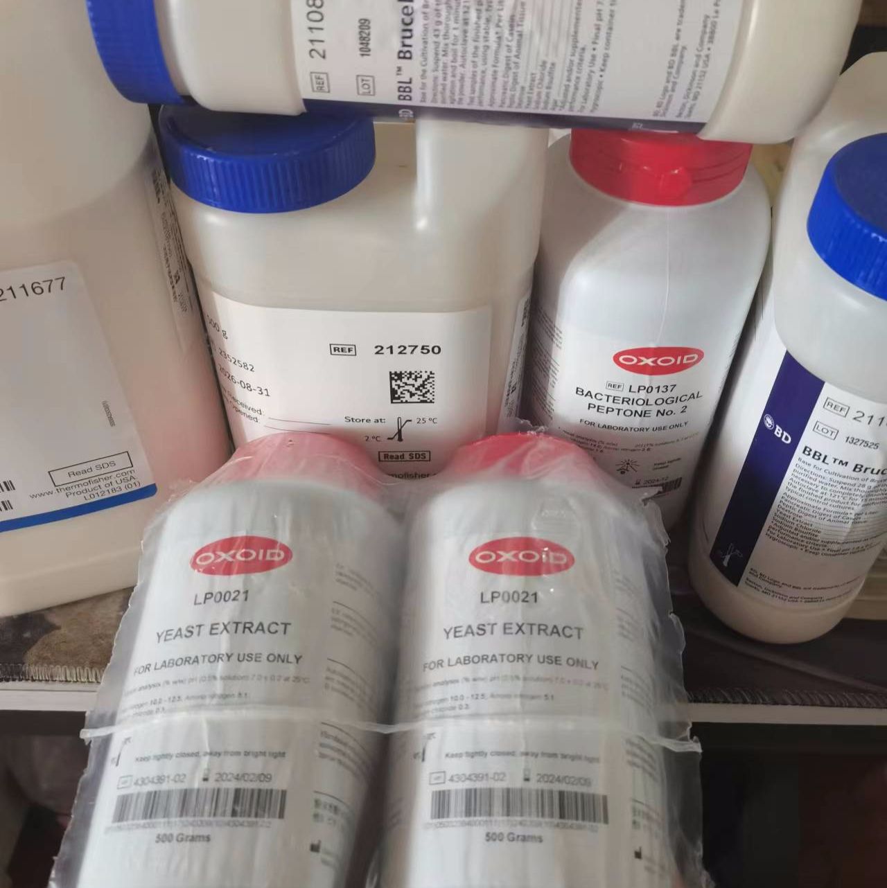 TA670P-90 科玛嘉jinhuangse葡萄球菌显色平板