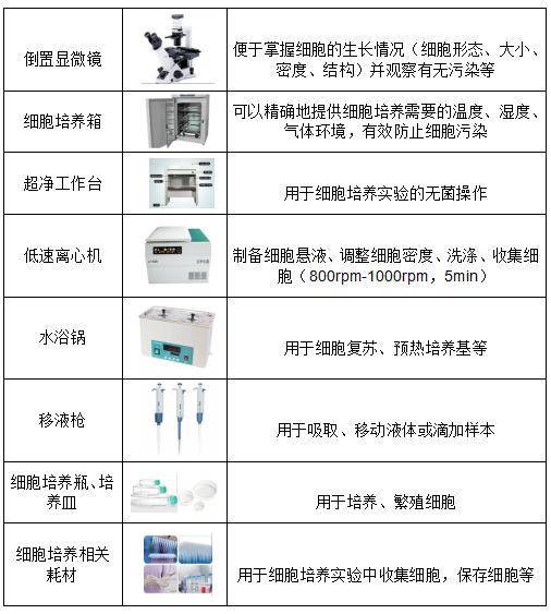 带你走近细胞生物学世界的第一步 ——细胞培养