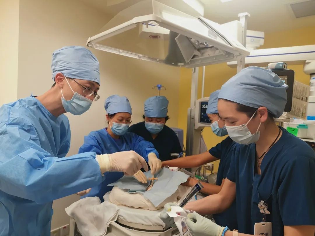 广州和睦家医院最小早产宝宝，胎龄只有 30 周！在 NICU 团队悉心照料下，顺利出院啦