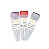 一步法快速克隆试剂盒(Hieff Clone Plus One Step Cloning Kit)