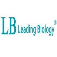 Lebercilin (LCA5) Mouse Monoclonal Antibody [Clone ID: LBI2D3]