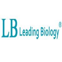 CD2 Mouse Monoclonal Antibody [Clone ID: LBI4E4]