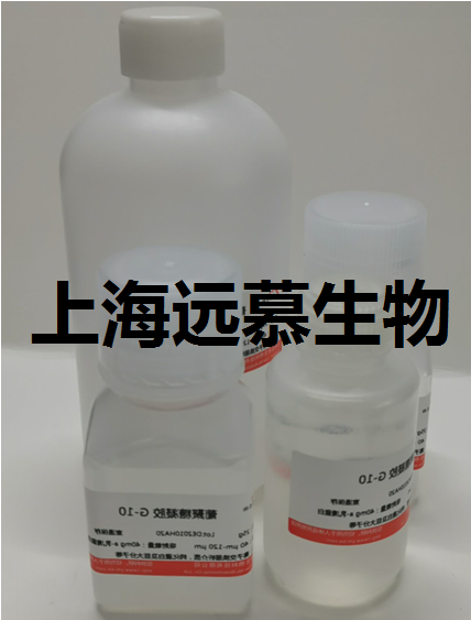 如何测定明胶的凝胶强度？