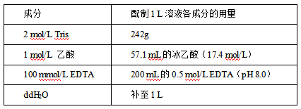 植物基因组DNA提取及其检测（二）