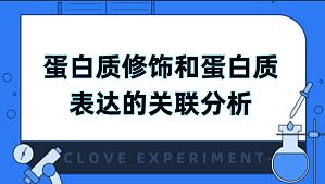 丁香实验推荐阅读